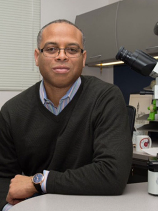 Photo of Ronald Champagne